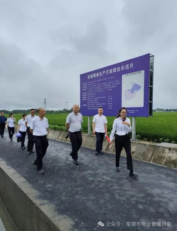 常德市康都物業服務有限公司,常德保安服務公司,保潔服務,墻外高空清洗服務
