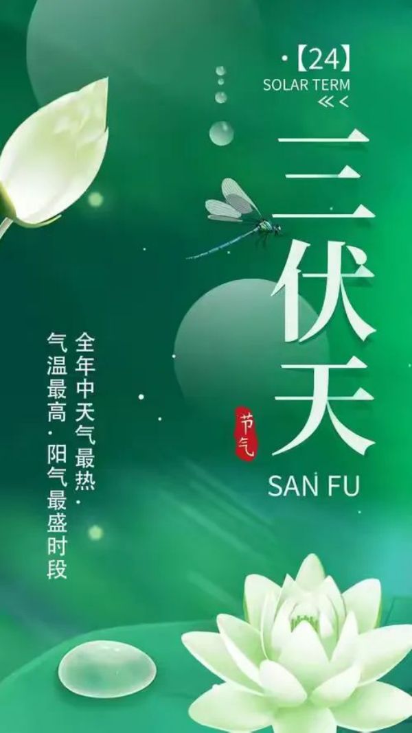 常德市康都物業服務有限公司,常德保安服務公司,保潔服務,墻外高空清洗服務