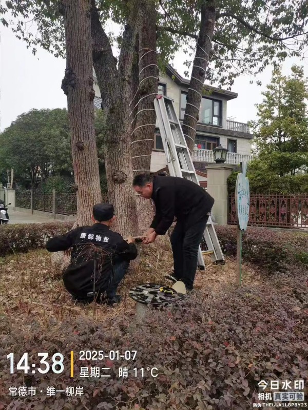 常德市康都物業服務有限公司,常德保安服務公司,保潔服務,墻外高空清洗服務